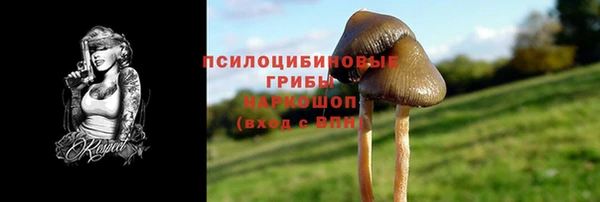 дурь Волоколамск