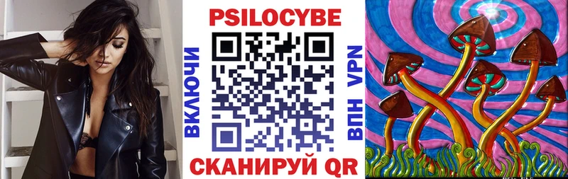blacksprut как зайти Сосновка Галлюциногенные грибы Cubensis наркотики